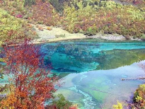 山东泰山vs川崎前锋票务信息公布:26号开售,最低150元